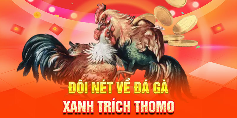 Đôi nét về hình thức chơi đá gà xanh trích Thomo